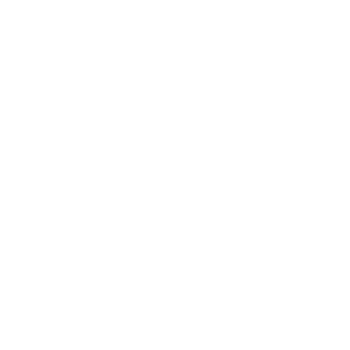 ANAS OS 标识